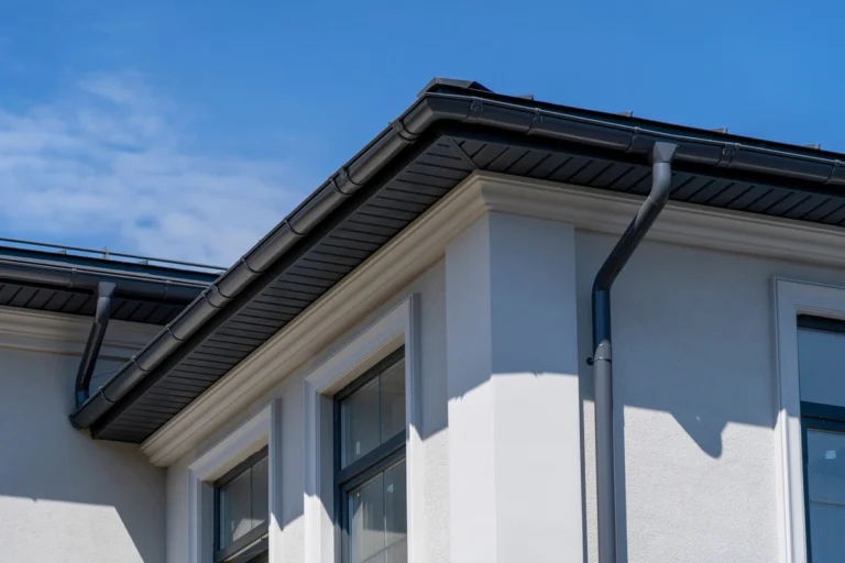 exterior of the house with black gutters