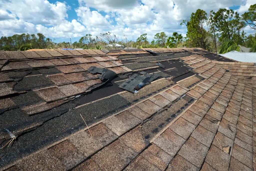 roof damage