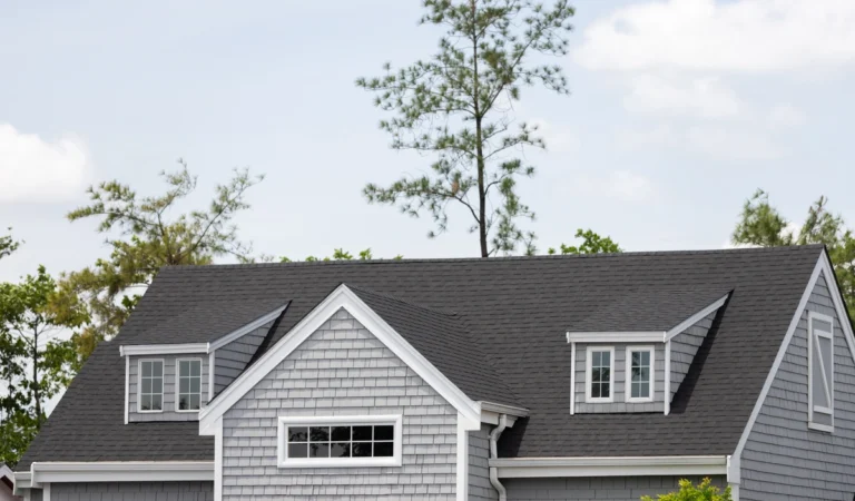 house roof with dormers