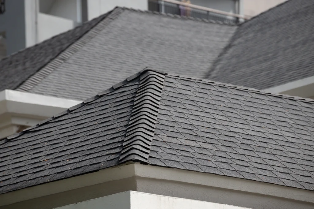 view of the edge of a roof with dark asphalt shingles