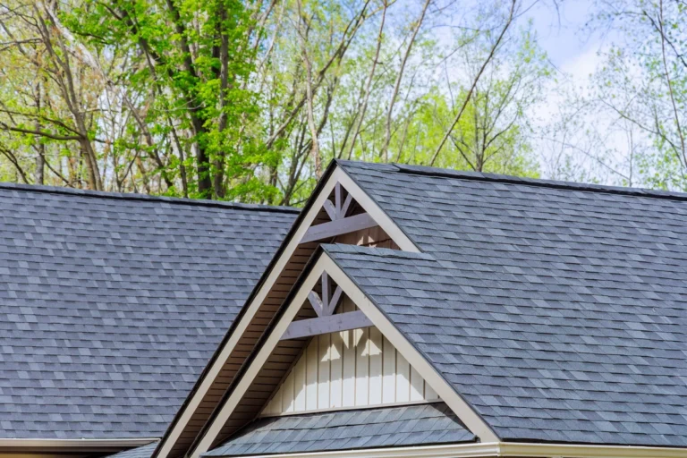 close up to asphalt shingle roof