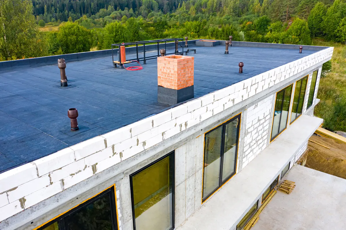 flat roof in the woods
