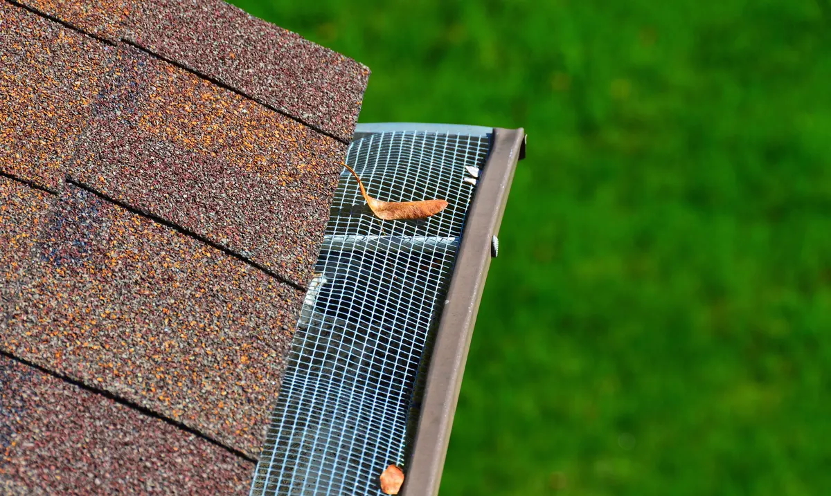 gutter guard and leaf