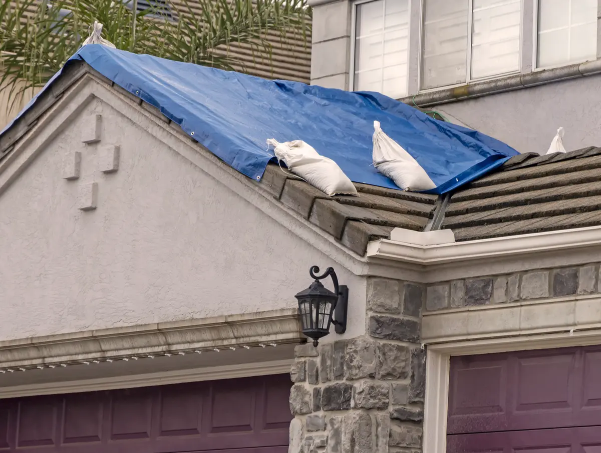 tarp on tile
