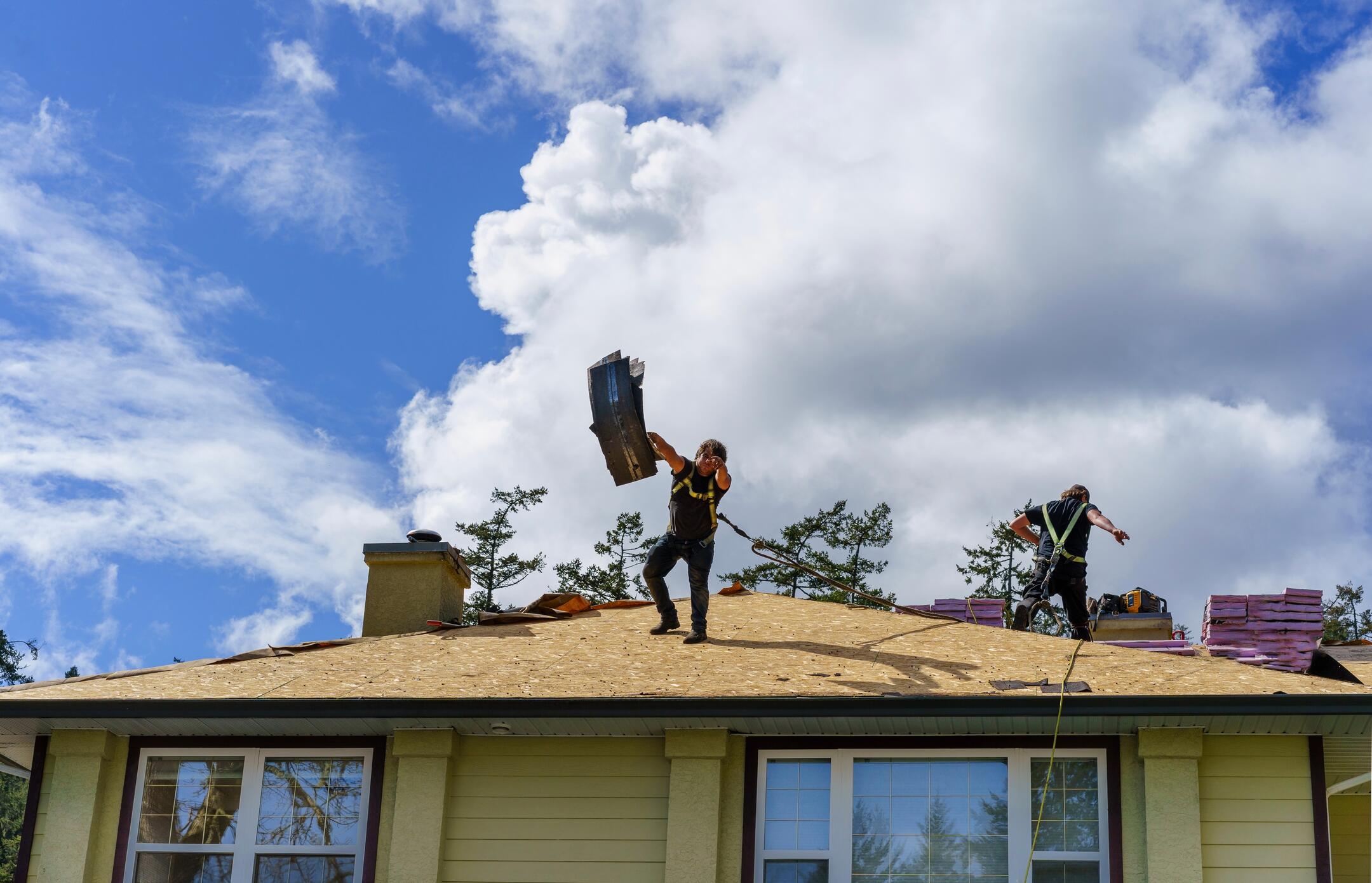roof tear off-crew of two throwing old roofing materials off a house roof