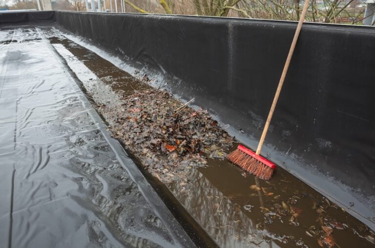 The gutter of a flat roof is full of debris from the trees