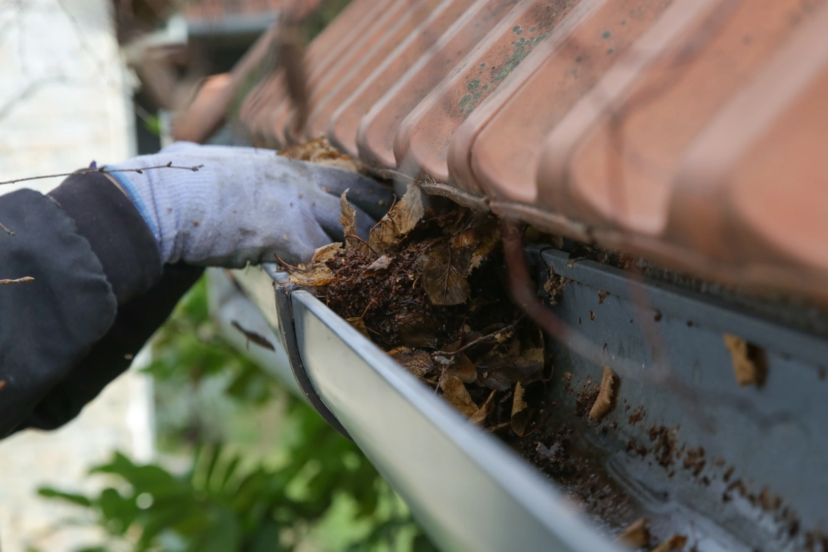 cleaning gutters