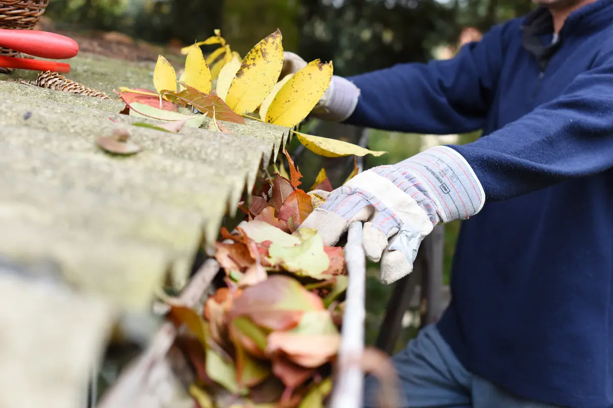 cleaning leaves out of gutters
