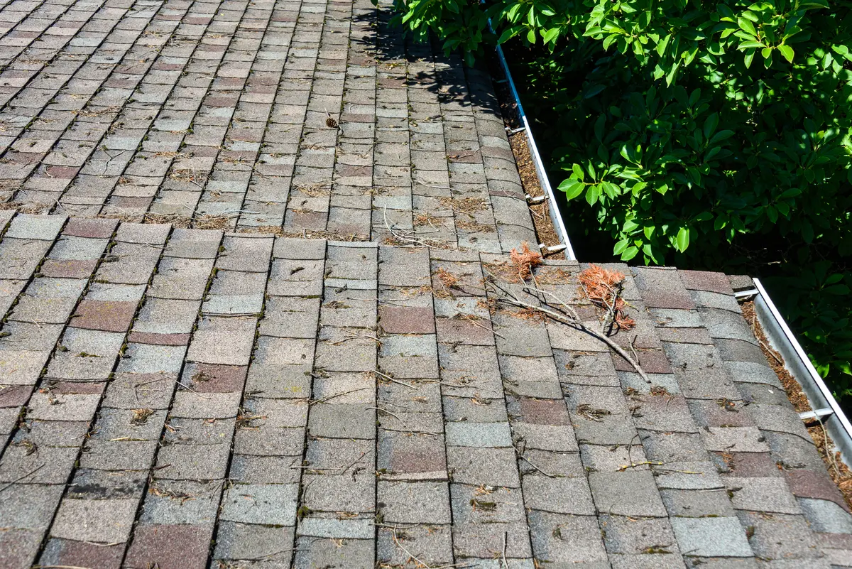 dirty roof