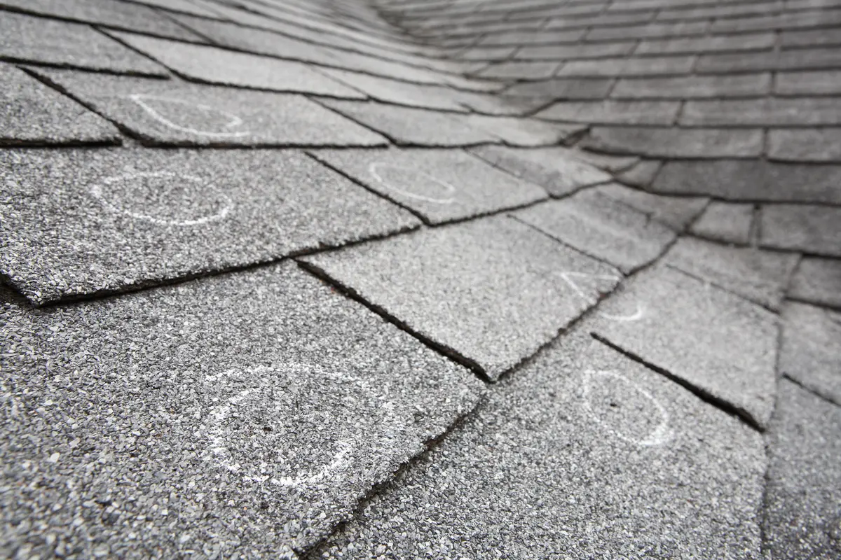 hail damage circles on shingles