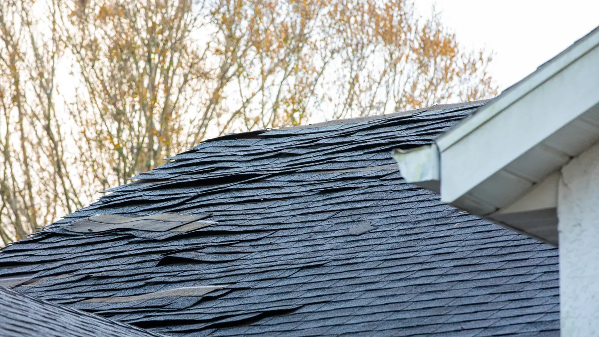 lifting shingles