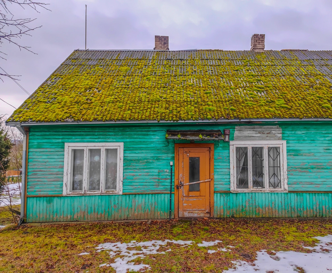 mossy roof